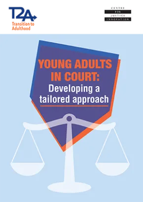 YOUnG AdULTS in COURT: developing a tailored approach - cover